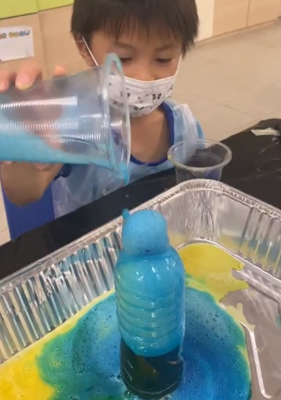 acsj 17