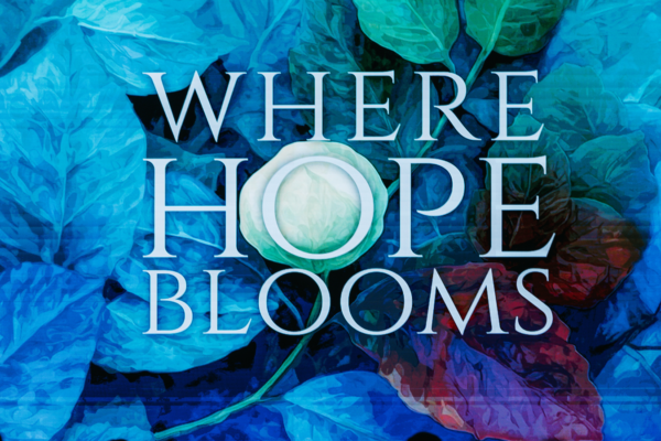 Where Hope Blooms Cover